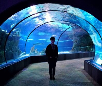 Discover the Joy of Aquarium Keeping - A Rewarding Hobby