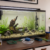 Essential Aquarium Equipment Every Beginner Needs