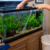 Weekly aquarium maintenance routine for a healthy tank