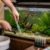 weekly aquarium maintenance routine