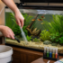 weekly aquarium maintenance routine